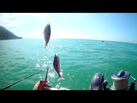 черное море ловля в мае черное море ловля в мае