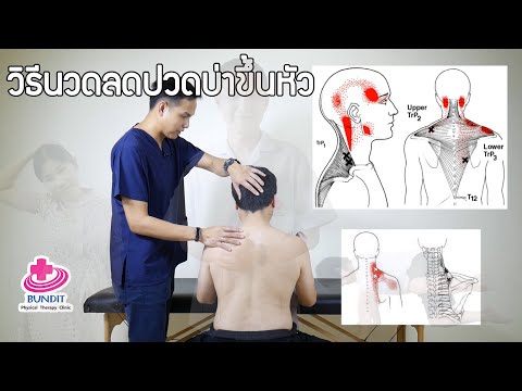 สอนนวดลดอาการปวดคอร้าวขึ้นศีรษะปวดกล้ามเนื้อบริเวณสะบัก | ตอบคำถามกับบัณฑิต EP.11