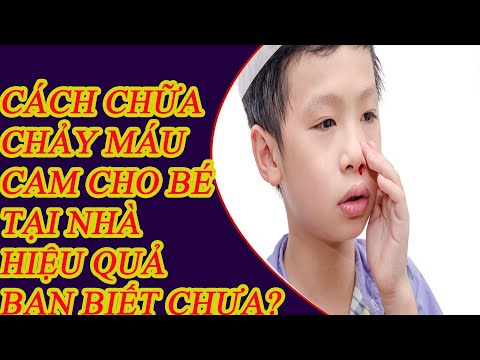 Làm thế nào để tự chữa chảy máu cam cho bé - 5 bài thuốc chữa chảy máu cam hiệu quả bằng đông y