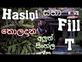 Hasini Samuel & Fill T Leaked Video | New Sinhala Rap