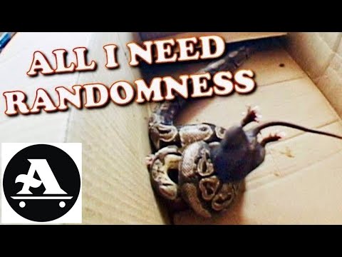 ALL I NEED randomness