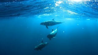 Relaxing Underwater Ambient, Deep Sleep Music, Sleep Meditation Music, Stress Relief