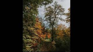 Hebib Hebibov - Xezan Saçli Orkestr Version