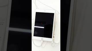 Apple Ipad Mini 7.9 , A12 Bionic Chip , D Colour