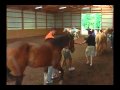 Team Building Program at Horse Sense of the Carolinas