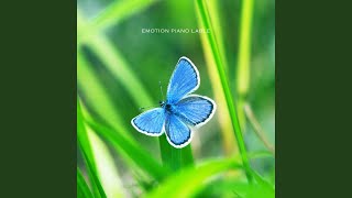 Erfly Dance