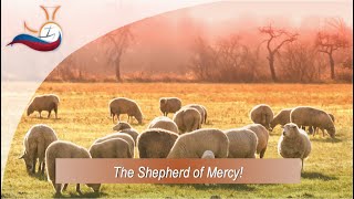 The Shepherd of Mercy.