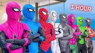 Spider-Man Into The Spider-Verse 2025 Deadpool 3 Wolverine - Superman - Venom 3 - Spiderman