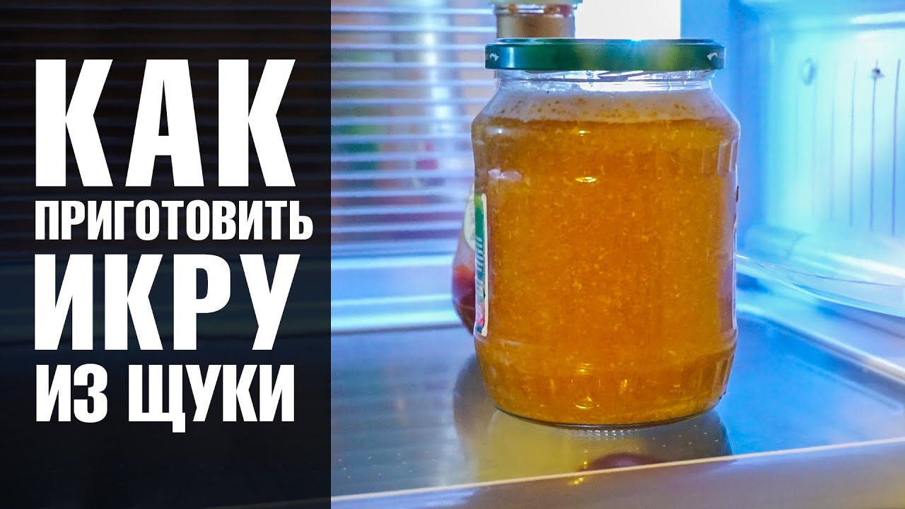 как засолить икру щуки в домашних условиях видео как засолить икру щуки в домашних условиях видео
