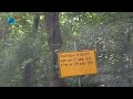 Kuillaan in bos Heiloo afgesloten voor al het verkeer
