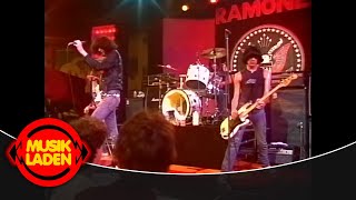 Watch Ramones Needles And Pins video