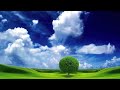 Paul Mcguire World War Iii Syria U S Prophecy