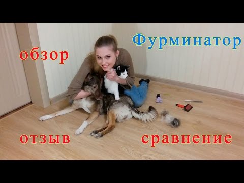 Как сделать фурминатор своими руками отзывы Как сделать фурминатор своими руками отзывы