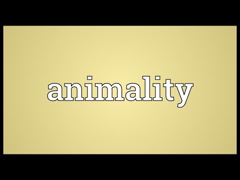 Header of animality