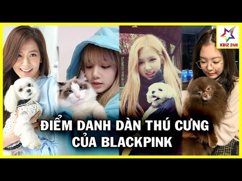 Điểm Danh Dàn Thú Cưng Của BLACKPINK: Từ Chó, Mèo Cho Đến... Cá Vàng | KBIZ 24H