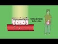 Eu e o meu corpo.mov - youtube
