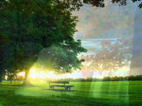 jo bhi kasme raaz.wmv