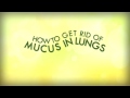 How to Get Rid of Mucus in Lungs