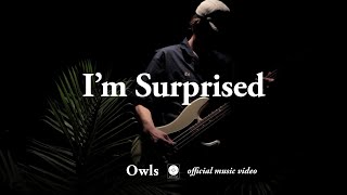 Watch Owls Im Surprised video