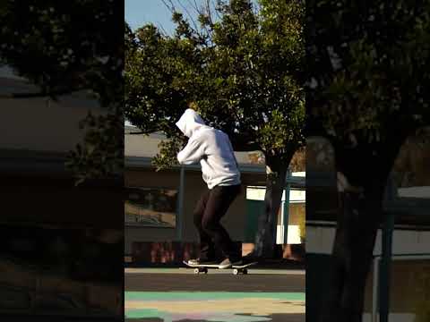 Shane O'Neill 2011 Classic Skateboarding Shorts