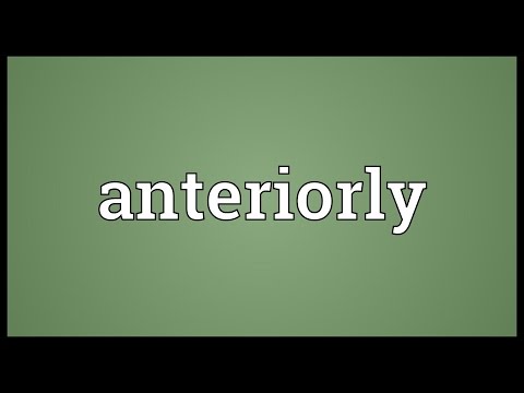 Header of anteriorly