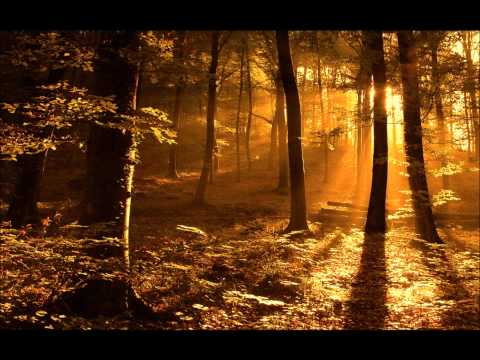 Shelter (Them Jeans Drum Edit) Video