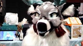 Blfc 2021 Fursuiters In Action