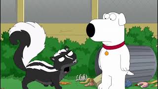 Family Guy Brian Gets Sprayed By A Skunk