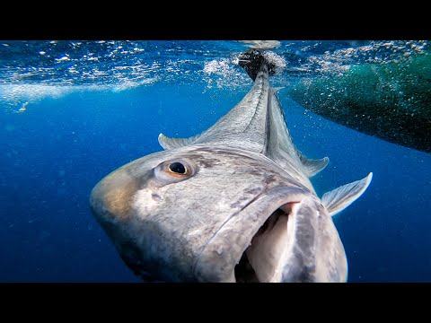 WHATS IT REALLY LIKE FISHING IN BALI? EP42