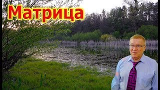 Матрица Гаряева Полное Исцеление Всего Организма, Можно Слушать Вечно!