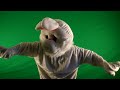 stream Bunny Green Screen Behind Scenes Bunny Green Screen Behind Scenes image