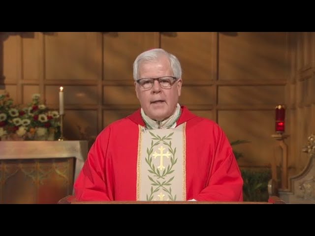Catholic Mass Today | Daily TV Mass, Wednesday November 25 2020