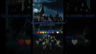 Yalnızlık1. Bölüm -Harry Potter Yn Li Dizi