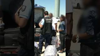 Le Comportement De Ce Touriste Na Aucun Sens