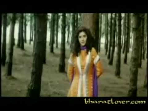 Teri Umeed Tera intezaar Karte hain (Deewana)