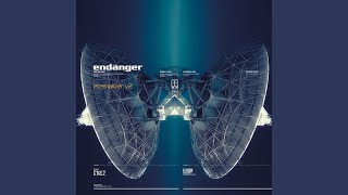 Watch Endanger Like A Crowd video