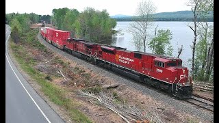 Moosehead Sub 52221