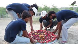 Celebrating Raju's 5th Rescue Anniversary with Wildlife SOS!