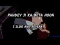 Pandey ji ka beta hoon bhojpuri song slow and reverb #bhojpuri #slowedandreverb