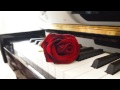 Pachelbel Canon in D Major Best Piano Version (1 Hour Version )