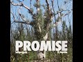 view Promise