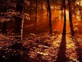 solitudes