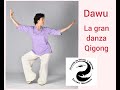 Dawu, la gran danza Qigong