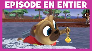 Le Monde De Bingo & Rolly - Moment Magique Le Jeu De Piste Safari