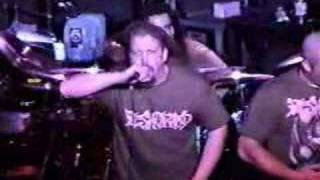 Watch Fleshgrind Sordid Degradation video
