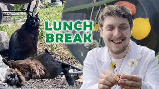 Lunch Break: Edible Plants & Interrobangs