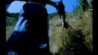 Клип Paul Oakenfold - Southern Sun