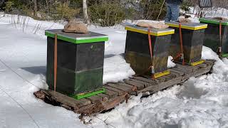 Watch Apiary Intervention video