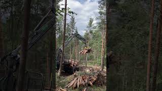 Forwarder 1510G In Action #Bosque #Jhondeer #Love #Johndeere #Forwarder #Madera #Montains #Viral