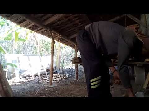 AKTIVITAS DI BELAKANG RUMAH PINDAHIN KAYU SEBELUM MUSIM PENGHUJAN TIBA.